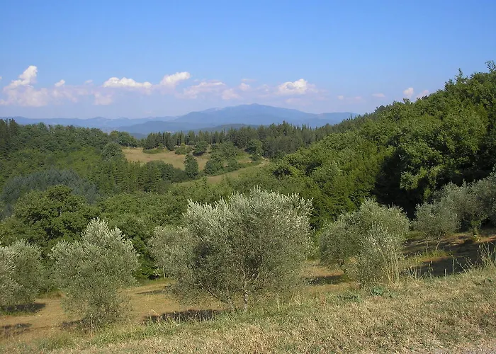 Podere Capitignano مزرعة للإقامة بورغو سان لورينزو