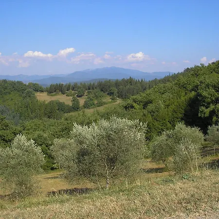 Podere Capitignano Lantgård Borgo San Lorenzo