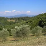 Podere Capitignano Feriegård Borgo San Lorenzo
